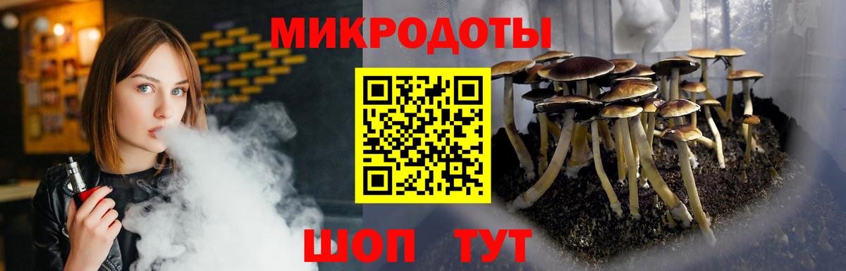 Будённовск  Псилоцибиновые грибы мухоморы  Вход с VPN 